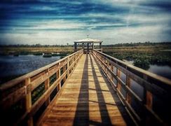 Image result for Cattail Marsh Beaumont TX