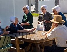 Image result for Old Order Amish