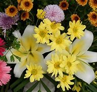 Image result for 10 Most Beautiful Flowers