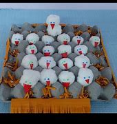 Image result for Hen Craft