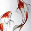 Image result for Koi Fish Recipe