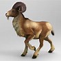 Image result for Cartooon 3D Fluffy Goat