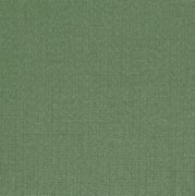 Image result for Green Canvas Background