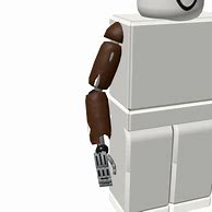 Image result for Roblox Arm Floaties