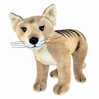 Image result for Thylacine Plush Toy