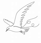 Image result for Line Drawing of Seagull In-Flight