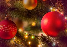 Image result for Christmas Season Pictures