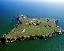 Image result for Snake Island Ukraine