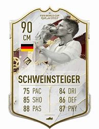 Image result for Schweinsteiger FIFA PNG