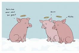 Image result for Pig Jokes Kids