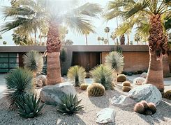 Image result for Desert Garden Design Ideas