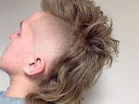 Image result for Medium Mullet