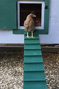 Image result for Chicken Coop