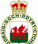 Image result for Royal Badge of Wales