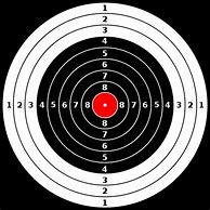 Image result for Funny BB Gun Targets