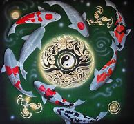 Image result for 13 Koi Carp Image