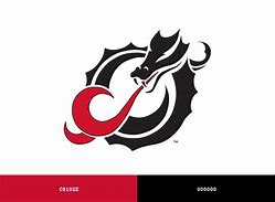 Image result for MSUM Dragons