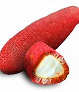 Image result for Buah Merah Tree