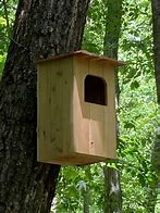 Image result for Owl Nest Box Plans