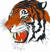 Image result for Tiger Mascot Costume PNG