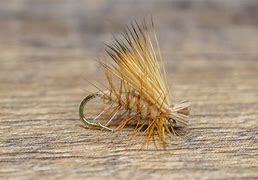 Image result for Lake Trout Fly Patterns