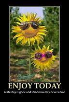 Image result for Enjoy Your Day Its All About You