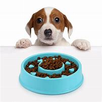 Image result for Dog Eat Bowl