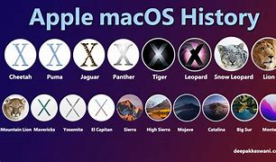 Image result for Mac OS 10.15