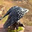 Image result for Raven Figurine