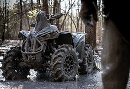 Image result for Mudding 4 Wheel