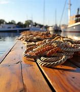 Image result for Mooring Lines for Ships