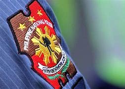 Image result for PNP Drug Enforcement Group Logo