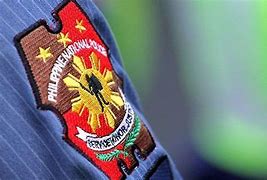 Image result for PNP Drug Enforcement Group Logo