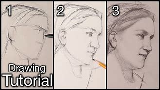 Image result for Portrait Drawing Beginners