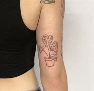 Image result for Planta Monstera Tatuaje