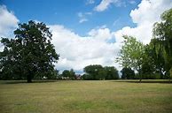 Image result for Alexandra Park at Night