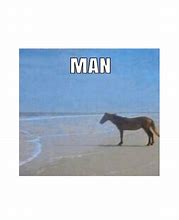 Image result for Man Bols Meme