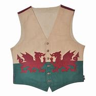 Image result for Welsh Dragon Flag Dinner Suit