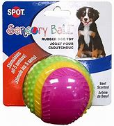 Image result for Toys for Blind Dogs