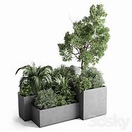 Image result for Outdoor Boxit Plant