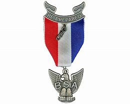 Image result for Girl Scout Eagle Awards