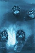 Image result for Frozen Cat