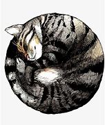 Image result for Cat with Circle Markings