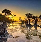 Image result for Pantai Sumba Nusa Tenggara Timur