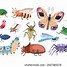 Image result for Flea and Tick Cartoon