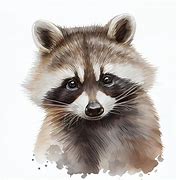 Image result for Raccoon Cue