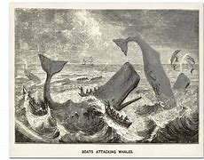 Image result for Painting of Whale Attack