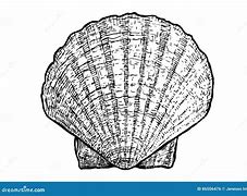 Image result for Clam Shell in Square Pixels