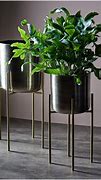 Image result for Unique Indoor Plant Pots