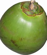 Image result for Coconut Water 500Ml Can